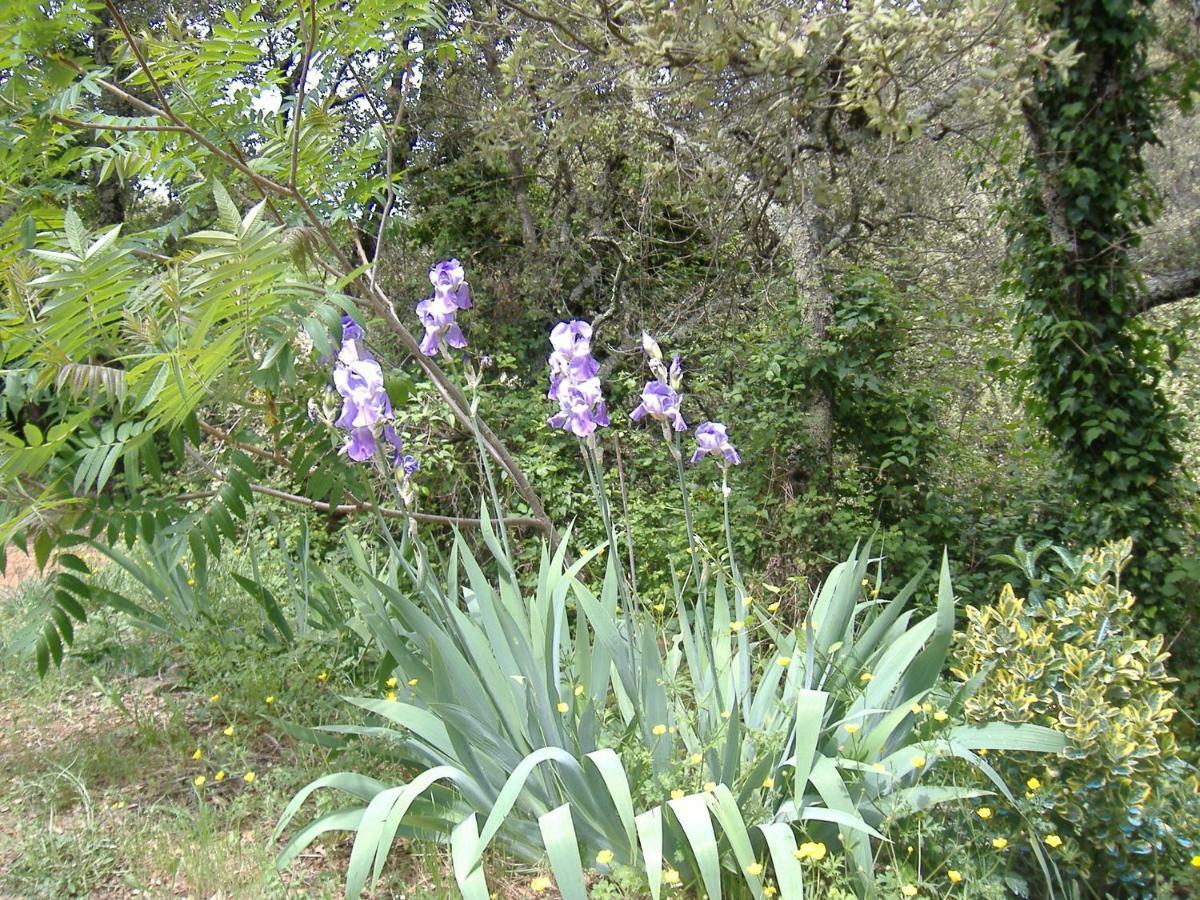 Les Jardins Hotel Anduze Exterior photo